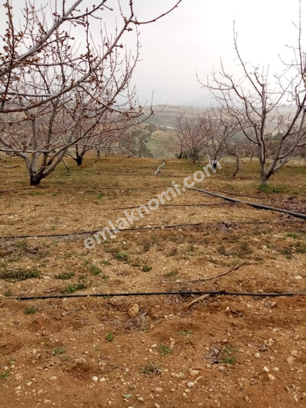 Mersin Özlü Mahallesi Satılık Tarla - Fotoğraf 1