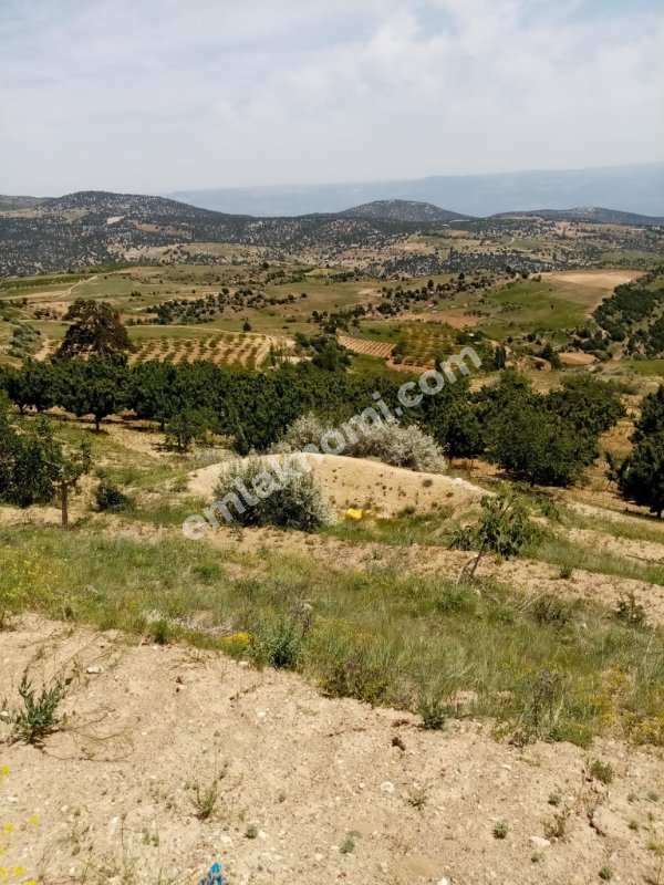 Mersin Özlü Mahallesi Satılık Tarla - Fotoğraf 3