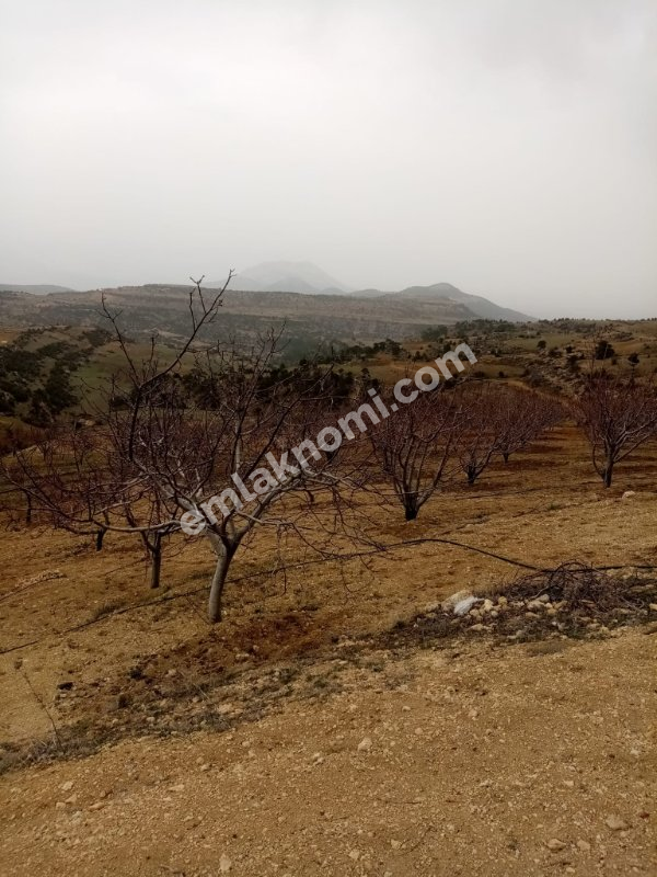 Mersin Özlü Mahallesi Satılık Tarla - Fotoğraf 6