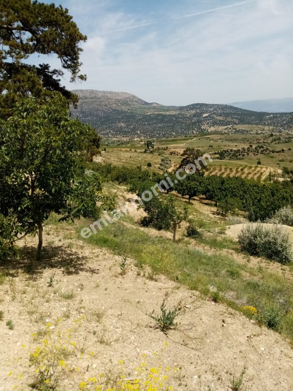 Mersin Özlü Mahallesi Satılık Tarla - Fotoğraf 7
