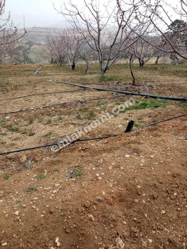 Mersin Özlü Mahallesi Satılık Tarla - Fotoğraf 8