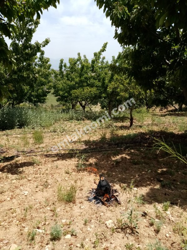 Mersin Özlü Mahallesi Satılık Tarla - Fotoğraf 11