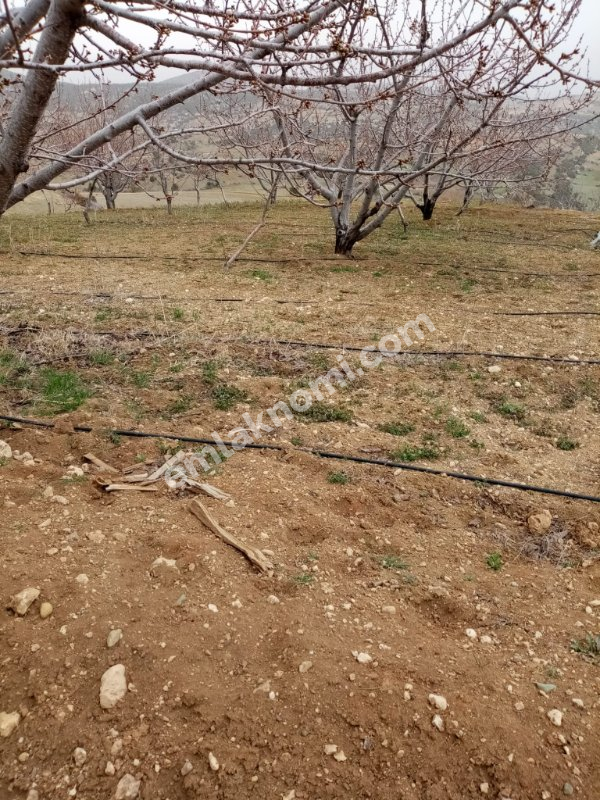 Mersin Özlü Mahallesi Satılık Tarla - Fotoğraf 12