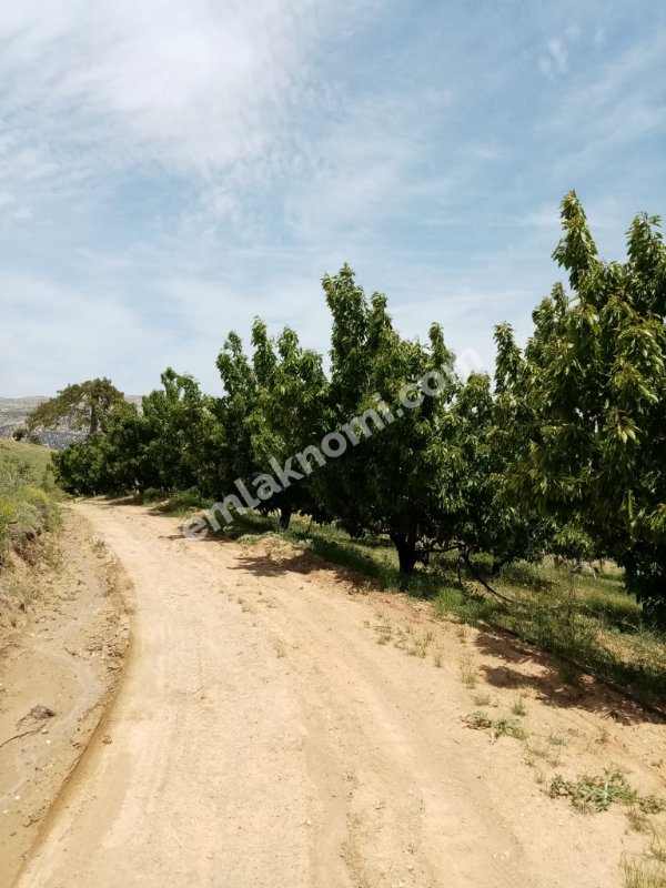 Mersin Özlü Mahallesi Satılık Tarla - Fotoğraf 15