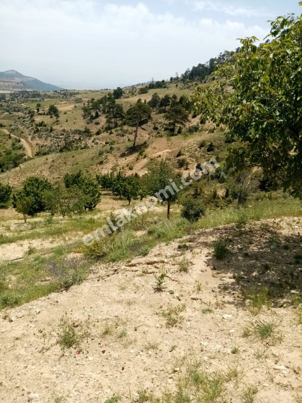 Mersin Özlü Mahallesi Satılık Tarla - Fotoğraf 16
