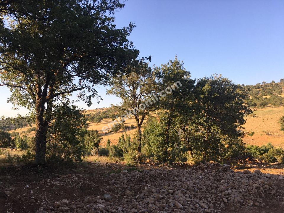 Karaman Satılık Tarla - Fotoğraf 2