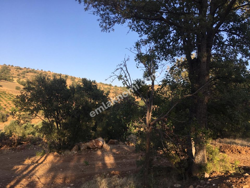 Karaman Satılık Tarla - Fotoğraf 4
