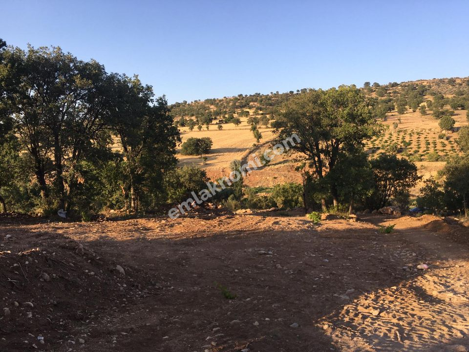 Karaman Satılık Tarla - Fotoğraf 6