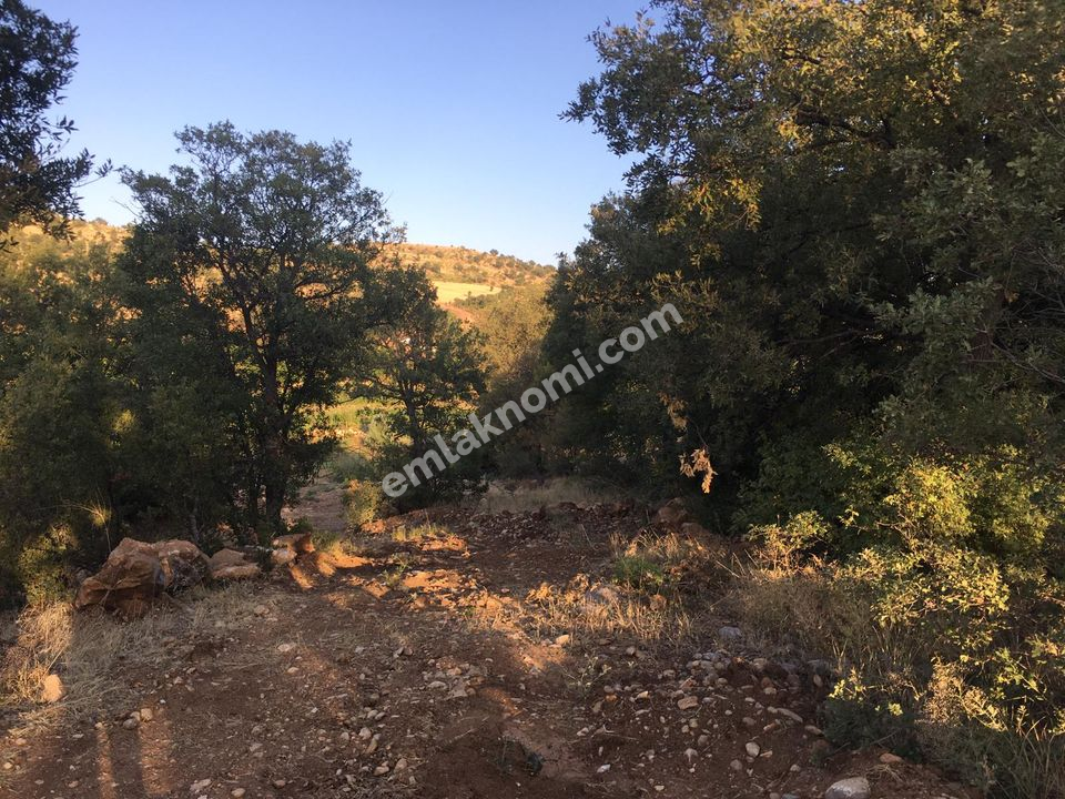 Karaman Satılık Tarla - Fotoğraf 7