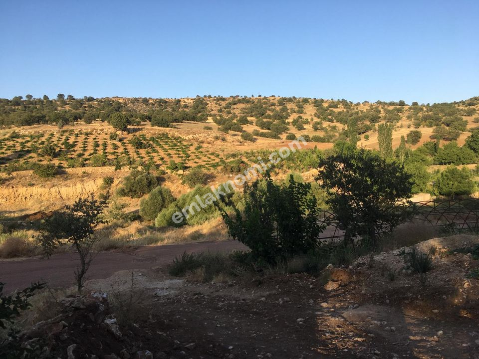 Karaman Satılık Tarla - Fotoğraf 10