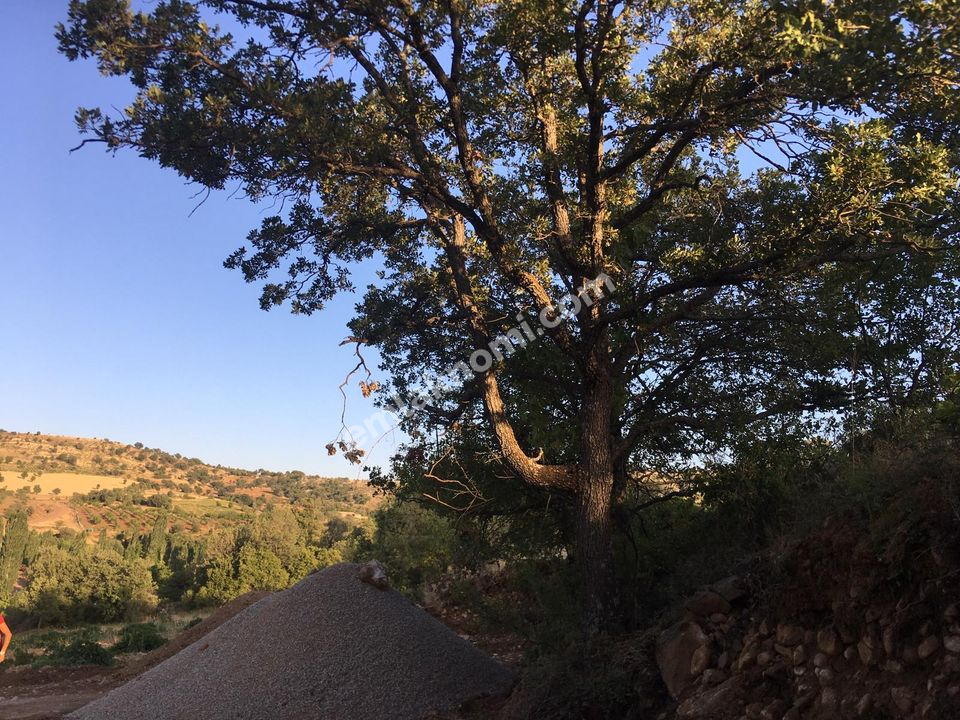 Karaman Satılık Tarla - Fotoğraf 14