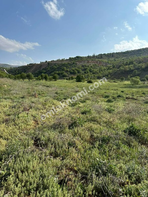 Karaman Satılık Tarla - Fotoğraf 2