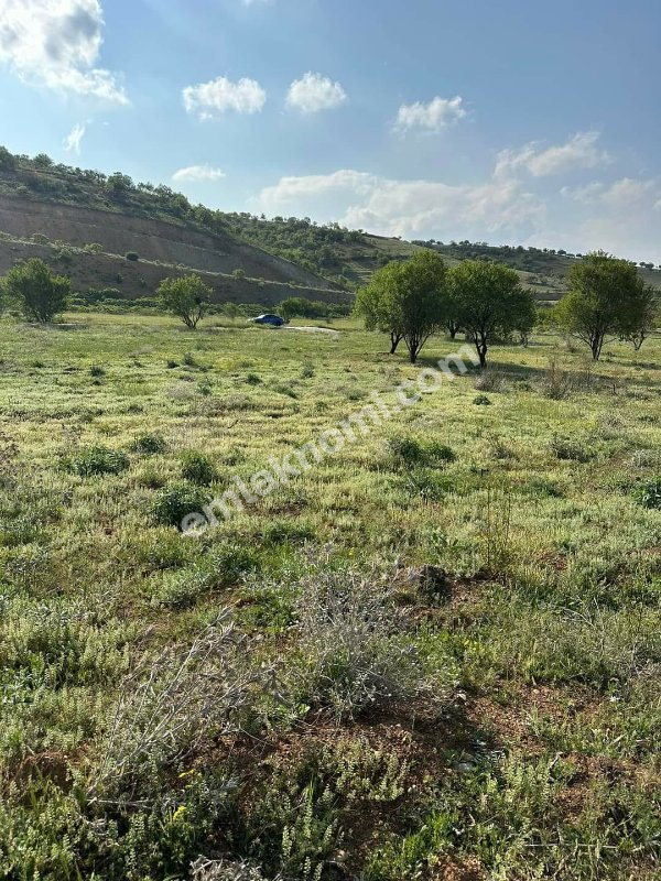Karaman Satılık Tarla - Fotoğraf 3