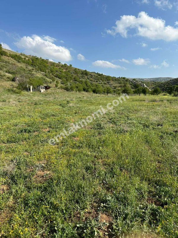Karaman Satılık Tarla - Fotoğraf 14