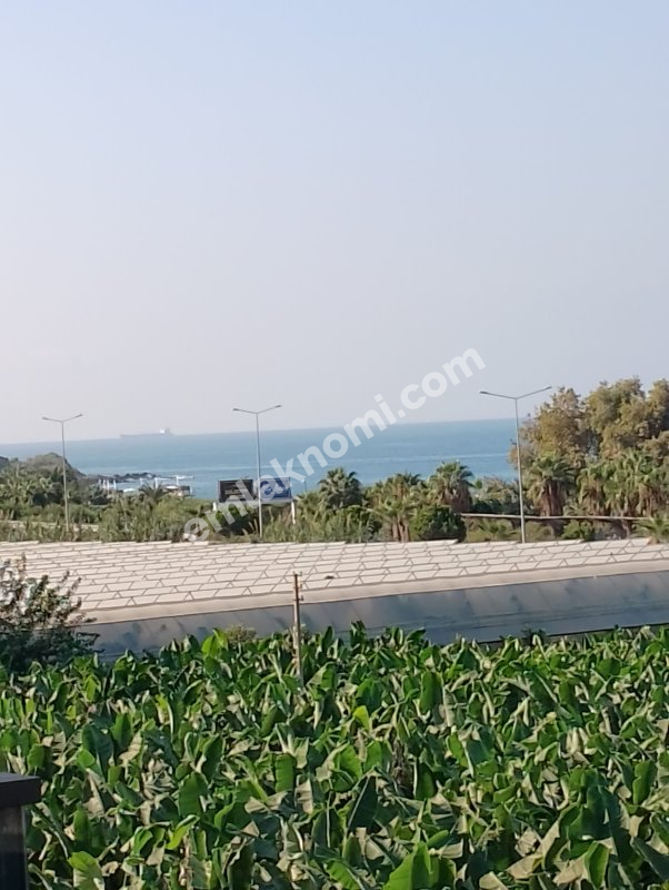 Antalya Kargıcak Mahallesi Satılık 1+1 Daire - Fotoğraf 17
