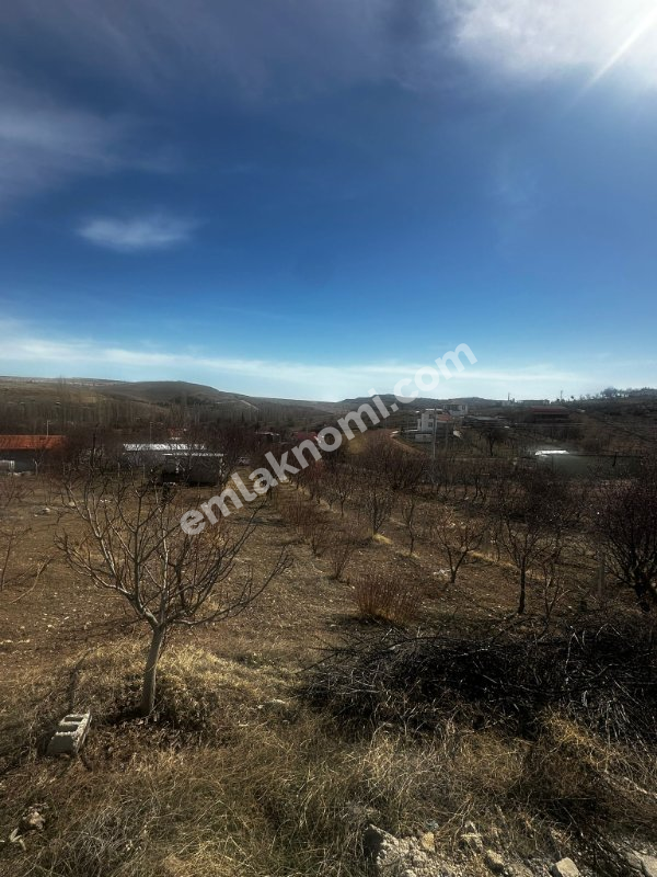 Karaman Dere Köyü Mahallesi Satılık Tarla - Fotoğraf 3