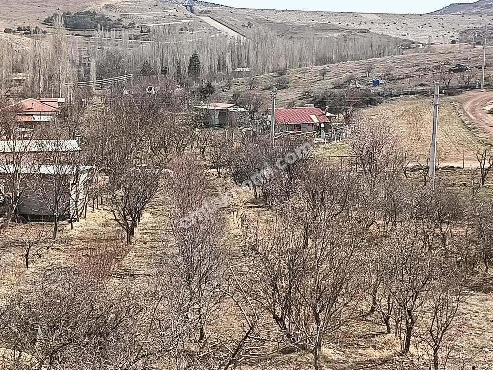 Karaman Dere Köyü Mahallesi Satılık Tarla - Fotoğraf 7