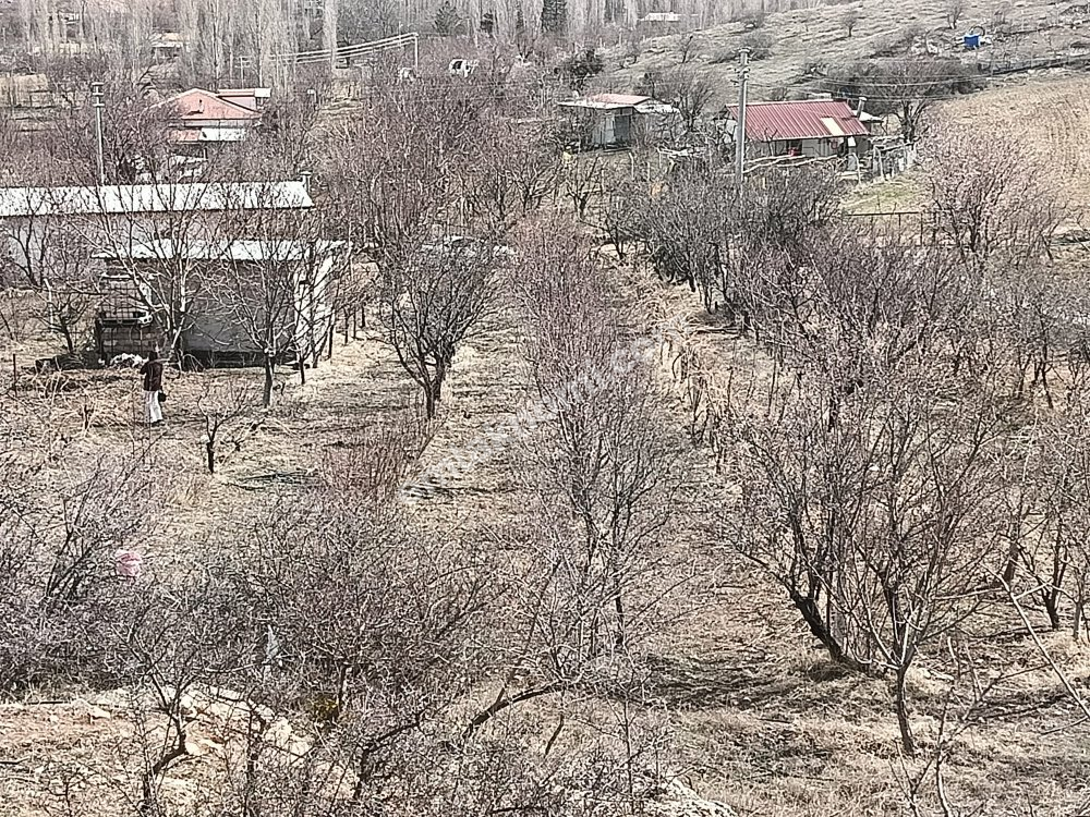 Karaman Dere Köyü Mahallesi Satılık Tarla - Fotoğraf 8