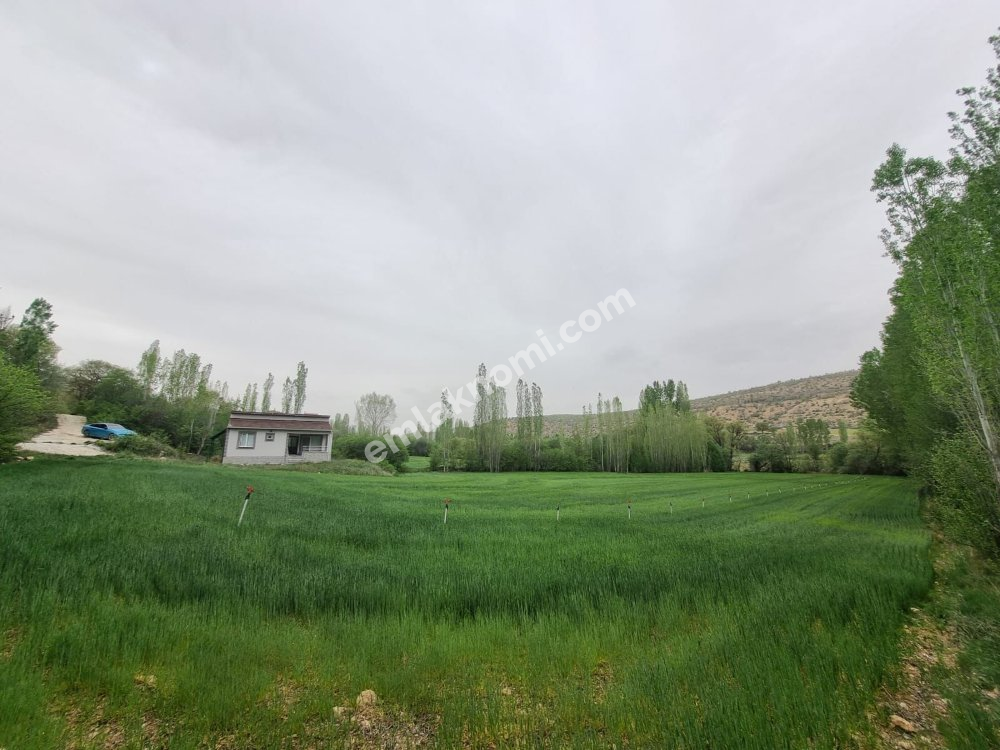 Karaman İmaret Mahallesi Satılık Tarla - Fotoğraf 5