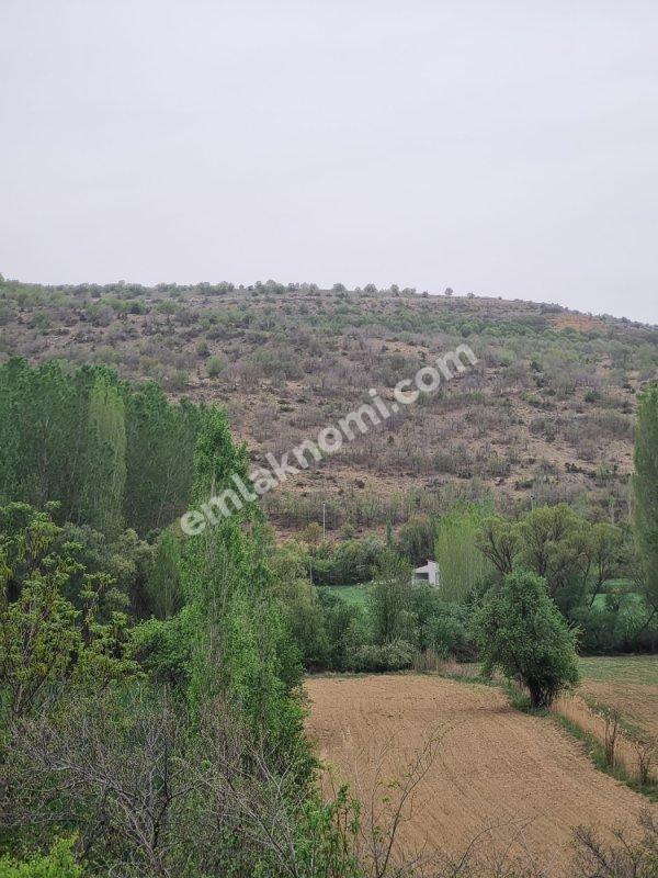 Karaman İmaret Mahallesi Satılık Tarla - Fotoğraf 22