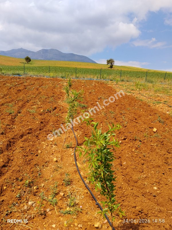 Karaman Satılık Tarla - Fotoğraf 6