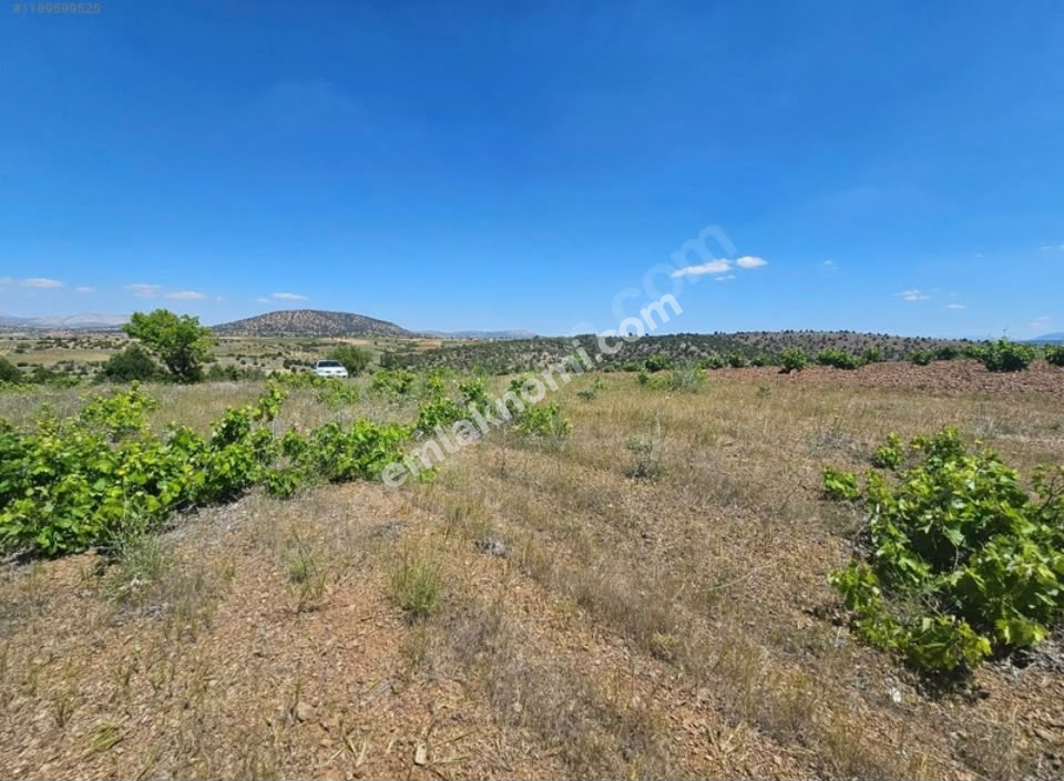 Karaman Satılık Tarla - Fotoğraf 2