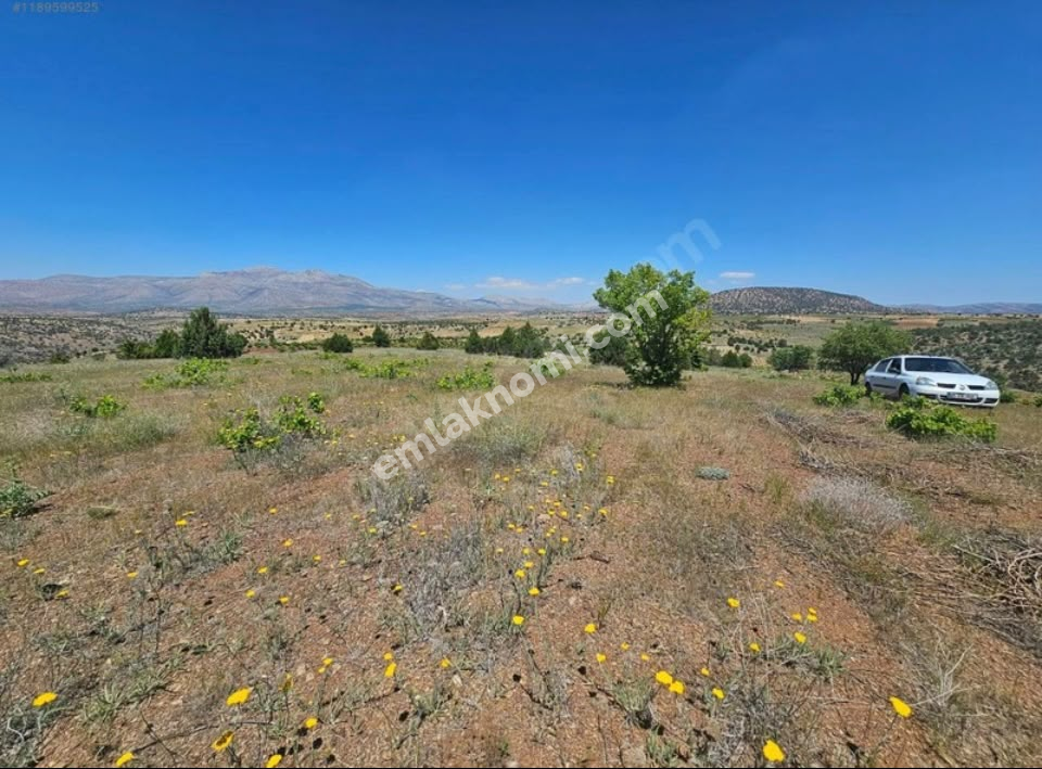 Karaman Satılık Tarla - Fotoğraf 3