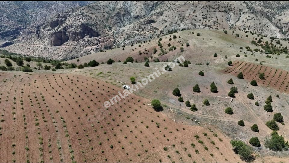 Karaman Satılık Tarla - Fotoğraf 5