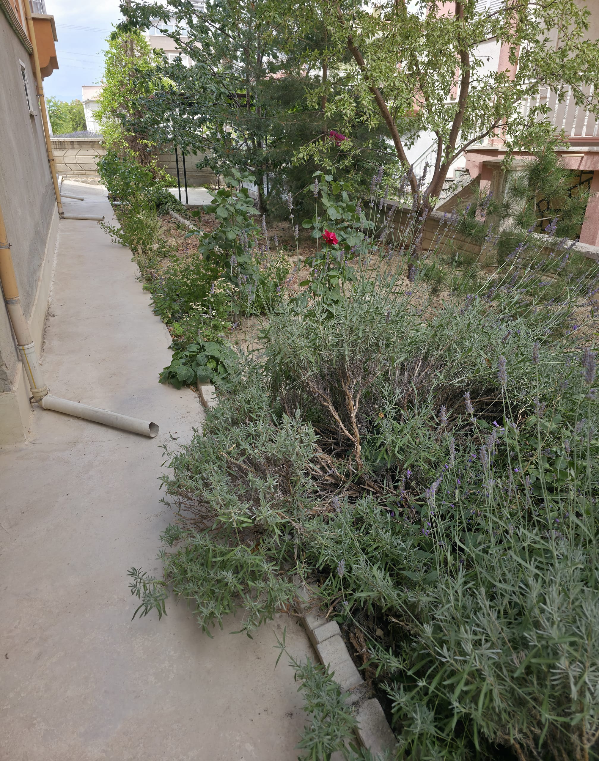Karaman Yunuskent Mahallesi Kiralık 3+1 Daire | Emlakmaster - Fotoğraf 24