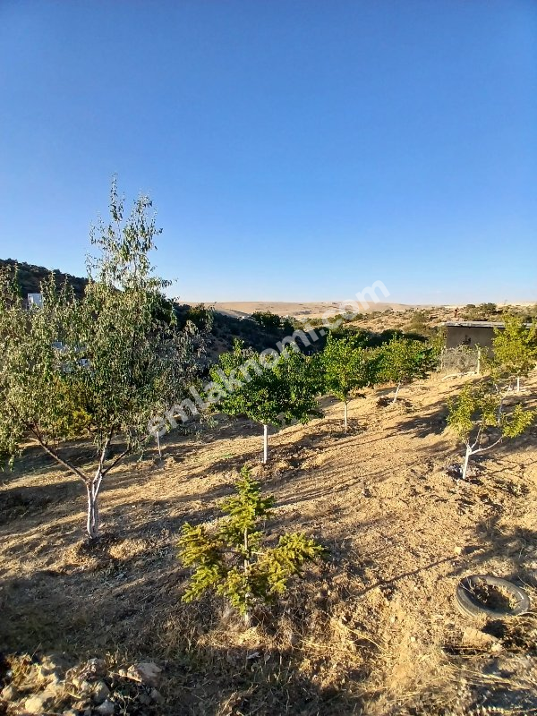 Karaman Dere Köyü Mahallesi Satılık Tarla - Fotoğraf 2