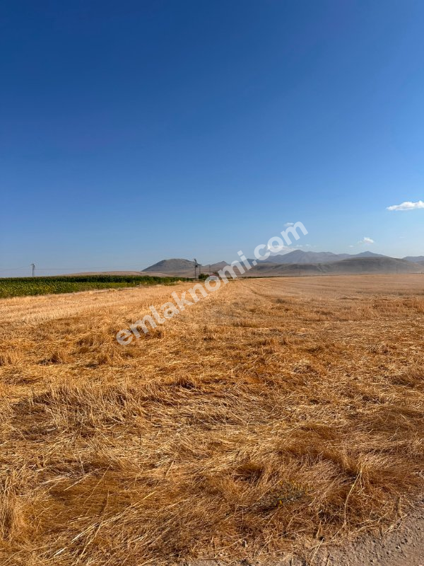 Karaman Satılık Tarla