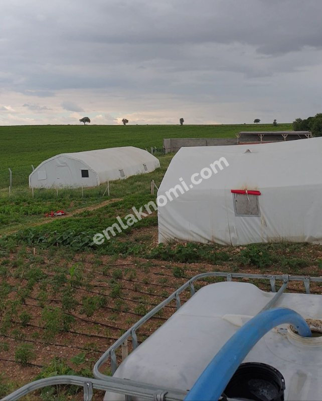 Karaman Satılık Tarla - Fotoğraf 4