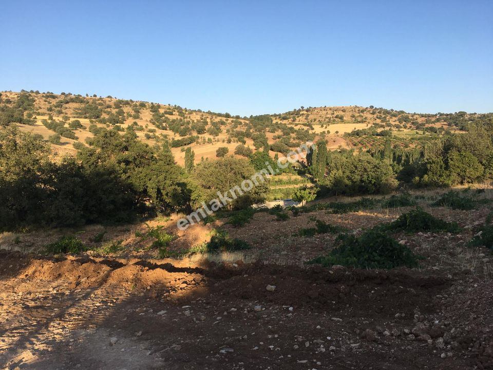 Karaman Satılık Tarla - Fotoğraf 10